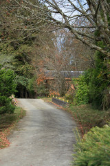Naklejka premium Little street in the small village