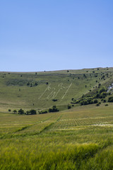 Obraz premium The ancient Long Man of Wilmington chalk hill figure