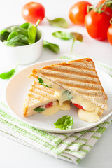 grilled cheese and tomato sandwich on white background