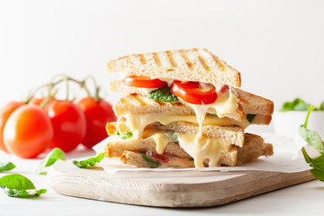 grilled cheese and tomato sandwich on white background