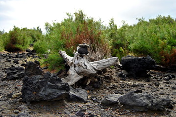 Reunion island seascape, landscape. Black sand, volcanic rocks.