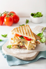 grilled cheese and tomato sandwich on white background