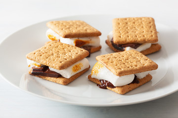 homemade marshmallow s'mores with chocolate on crackers