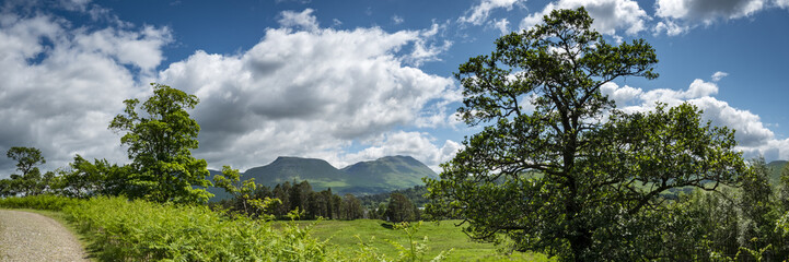 a view of the west highland way in the highlands of scotland during a bright summer day