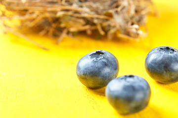 Fresh ripe blueberry close up