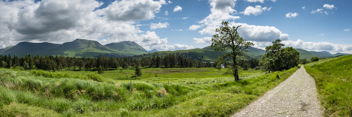 Obraz premium a view of the west highland way in the highlands of scotland during a bright summer day