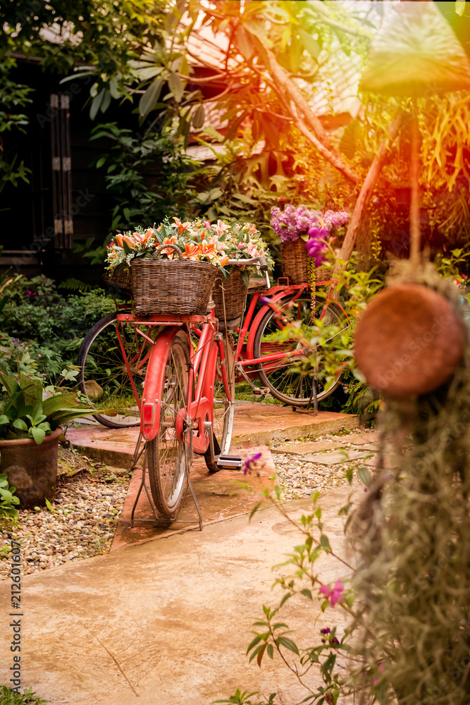 Wall mural beautiful colorful flowers on red bicycle concept in the garden background