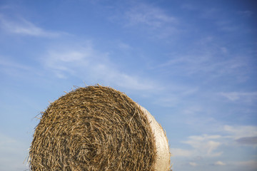 Hay ball against the sky background