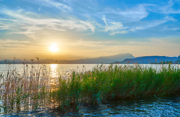 Beautiful sunset at coastline of Lake Garda / Natural reed in the lake / Next to City of Bardolino