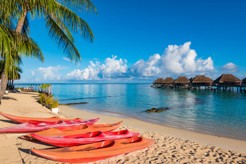 Tropical paradise with empty kayaks on the beach in Moorea. - obrazy, fototapety, plakaty