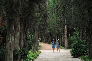 Fototapeta na wymiar Two young beautiful brunette girls in jeans dresses and hats walk along the road of park with tall green trees.