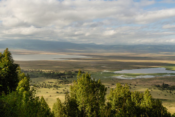 Ngorngoro