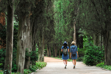 Fototapeta na wymiar Back view of two young beautiful brunette girls in jeans dresses and hats walk along the road of park with tall green trees.