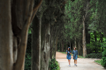 Fototapeta na wymiar Two young beautiful brunette girls in jeans dresses and hats walk along the road of park with tall green trees.