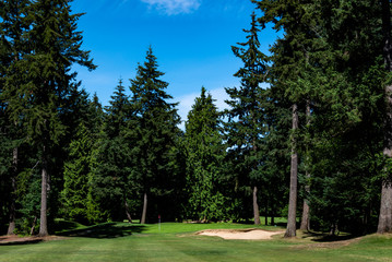 Golf course fairway lined with tall trees, hole and green protected by a sand trap, blue sky with white clouds

