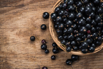 Fresh ripe blackcurrant in basket, copy space on wooden board