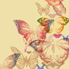 Colorful butterfly background