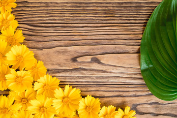 yellow flowers on a wooden background. Close up. top view. copy text.