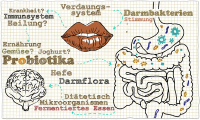 Illustration about Probiotics and Gut Bacteria in cycle
