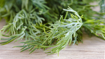 Bunch fresh green dill. Food background. Close up