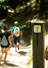 Wooden Signpost with Yellow Arrow Pointing Straight