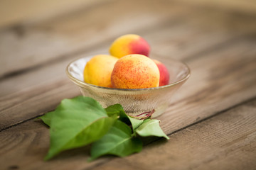 Organic apricots on rustic background
