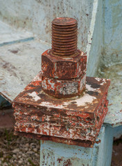 Bolts and two nuts, Carpathian mountains, Ukraine