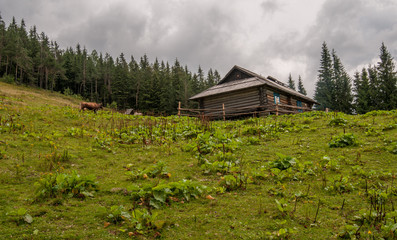 Wooden house on the Carpathian hill, Ukraine