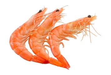 Cooked Prawns or Tiger Shrimps on White Background