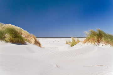 View on beach and sea between dunes grown with Marram grass under a blue sky
