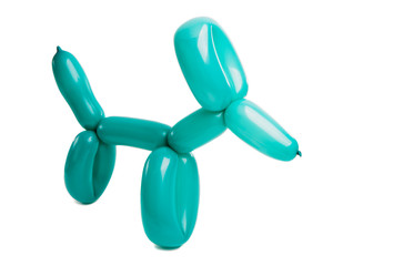dog toy from a balloon isolated