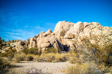 Boulder of rocks in Joshua Tree National Park