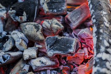 burning firewood and coals close-up