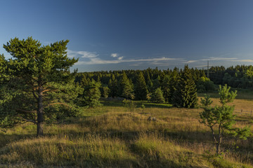 Slavkovsky les mountains in summer nice morning
