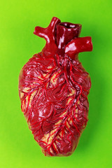 Human heart clay model. Green background Medical concept