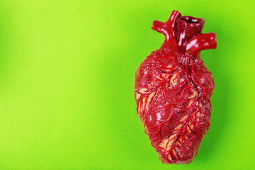 Human heart clay model. Green background Medical concept