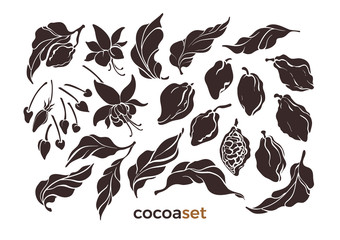 Vector set of cocoa leaf, bean, flower.