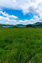 Obraz premium 浅間山を望む