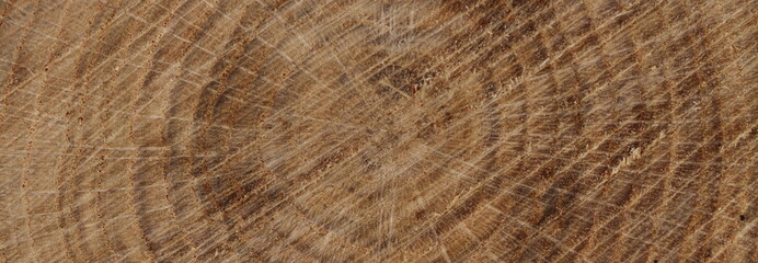 Hintergrund Holz