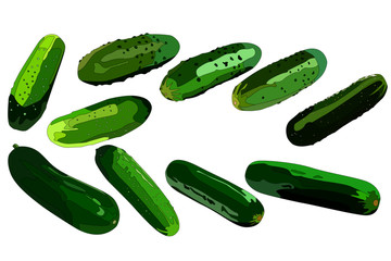 a set of 10 images of cucumbers of different shapes and sizes