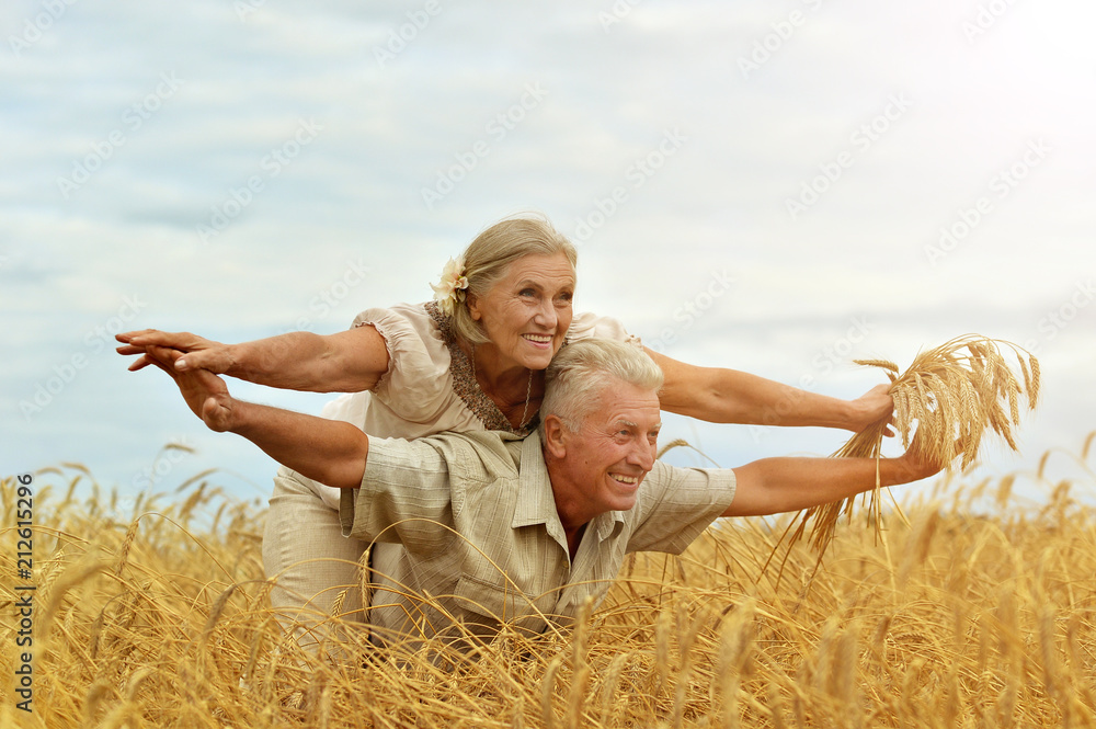 Sticker senior couple resting at summer field