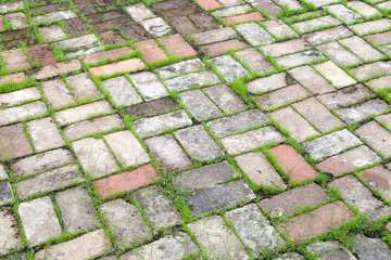 texture of a paving stone track on a green grass
