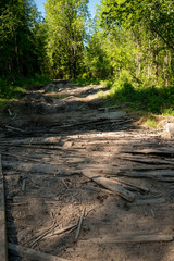 Old wooden trail through forest