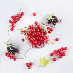 Ripe red currant in a glass jar on a light background. Scattered berries on a concrete background: black and red currants. Summer minimalistic concept. Top view, flat lay, square.