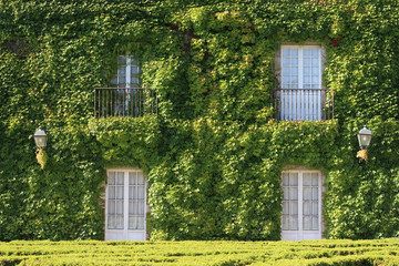 fachada casa cubierta de hiedras menos las puertas y ventanas