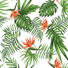 Papier peint Paradis fleur tropicale motif de fond blanc orange strelitzia