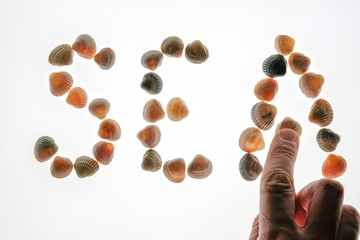 Close-up of a male hand making up the word Sea of seashells on a white background. The concept of rest or holiday. Isolated.