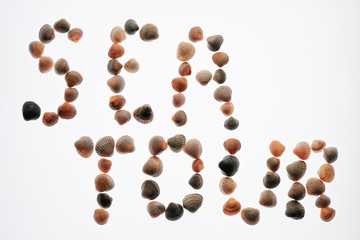 The word Sea tour composed of seashells on a white background. The concept of rest or holiday. Isolated.