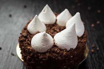 Chocolate truffle cake with bise