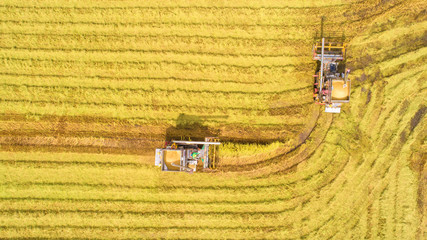 Fototapeta na wymiar Combine harvester machine with rice farm.Aerial view and top view. Beautiful nature background.